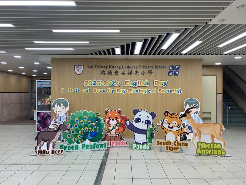 提供不同類型設計及主題佈置服務